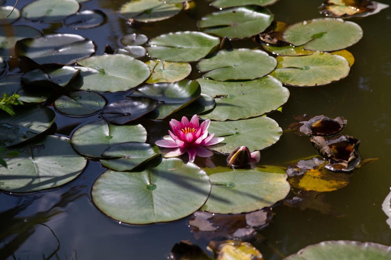 La Varangue Lacanau Eksteriør bilde